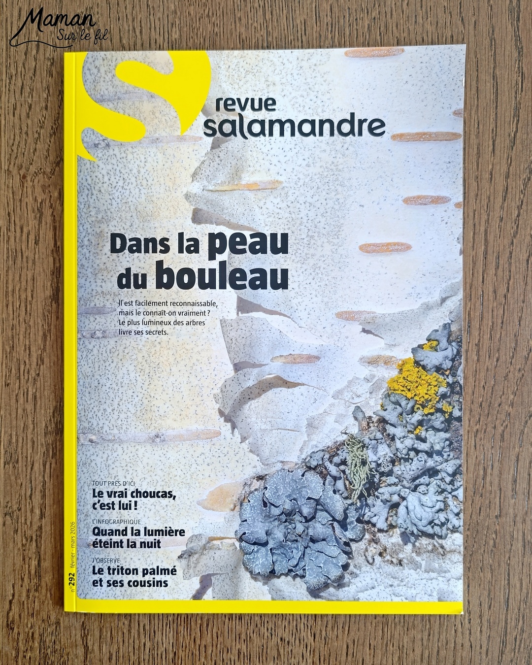 Créer un bouleau d'amour et présentation du nouveau magazine Revue Salamandre : activité créative, collage, peinture et manuelle et lecture enfants - Peindre le tronc du bouleau avec une bande de carton - Arbre d'amour avec coeurs perforés et collés - Perforatrice et collage - Bricolage simple avec papier plein d'amour - Magazine Revue Salamandre parfait pour les ados et adultes amoureux de la nature et des animaux - 13 ans et plus - Collège, Lycée - 3 version pour tout âge - Complet et qualitatif - Reportages, belles photos, BD, jeux, activités manuelles... - Bricolage et décoration DIY et facile - Bricolage Fait maison, décoration - Thème Saint Valentin, amour, amitié, forêt, arbres, nature - Bricolage sympa et facile - Arts visuels Maternelle et cycle 2 - Maternelle et élémentaire - Créativité et lecture jeunesse - Cycle 1 ou 2 - tutoriel photos - mslf