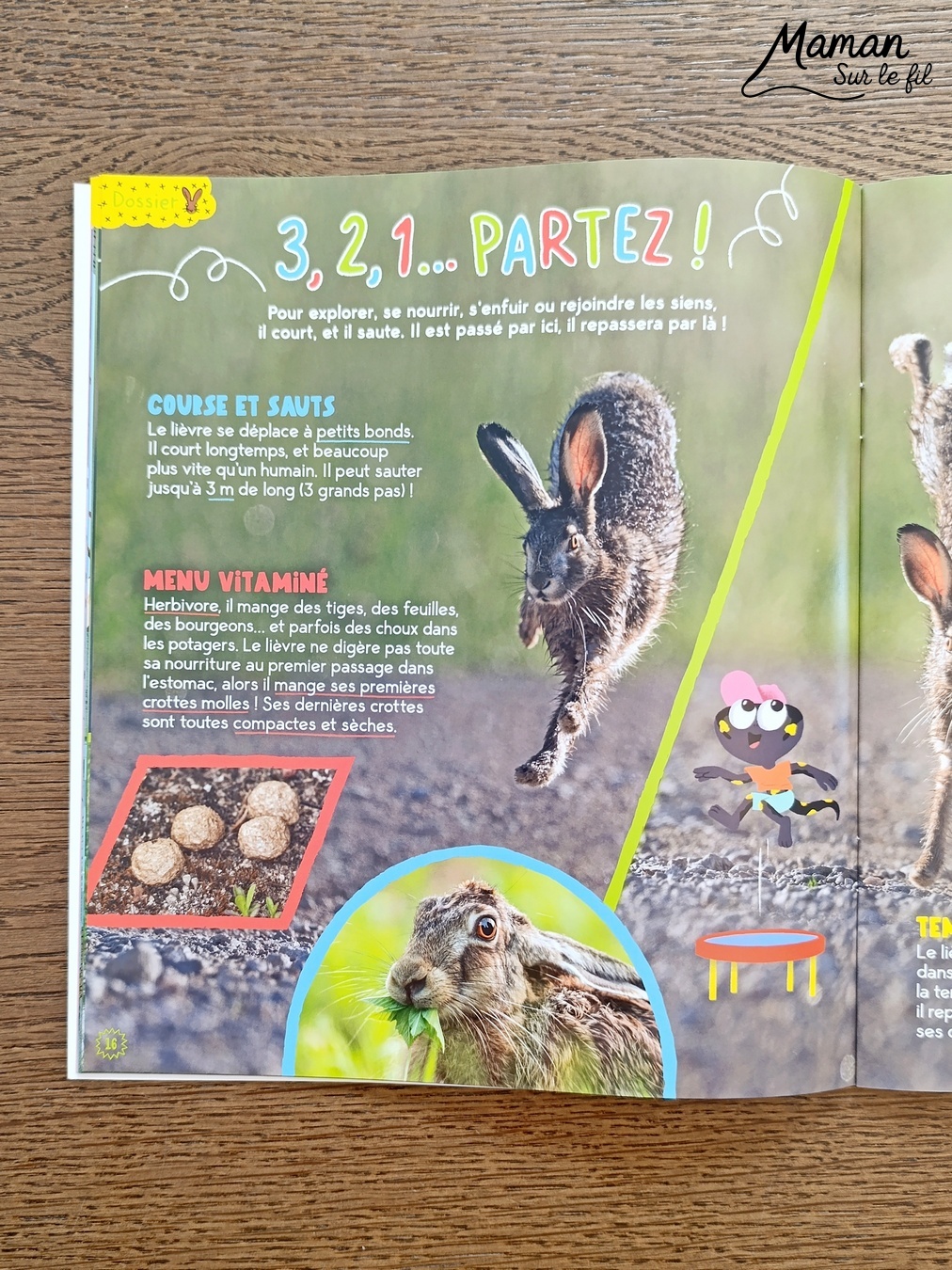 Fabriquer un tableau Couple de lièvres amoureux en récup' et présentation du nouveau magazine Petite Salamandre : activité créative, récup' et manuelle et lecture enfants - Recyclage, surcyclage d'une boite à oeufs et de carton - Découpage et collage de papier et de carton - Bricolage simple avec papier plein d'amour - Magazine Petite Salamandre parfaits pour les petits amoureux de la nature et des animaux 4 à 7 ans - Maternelle - 3 version pour tout âge - Complet et qualitatif - Reportages, belles photos, BD, jeux, activités manuelles... - Bricolage et décoration DIY et facile - Bricolage Fait maison, décoration - Thème Saint Valentin, amour, amitié, animaux de la forêt et campagne, nature - Bricolage sympa et facile - Arts visuels Maternelle et cycle 2 - Maternelle et élémentaire - Créativité et lecture jeunesse - Cycle 1 ou 2 - tutoriel photos - mslf