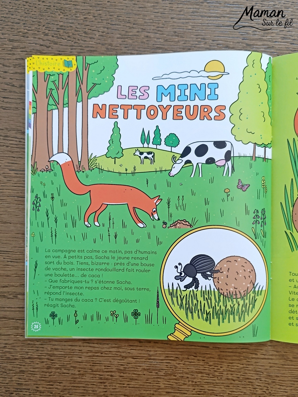 Fabriquer un tableau Couple de lièvres amoureux en récup' et présentation du nouveau magazine Petite Salamandre : activité créative, récup' et manuelle et lecture enfants - Recyclage, surcyclage d'une boite à oeufs et de carton - Découpage et collage de papier et de carton - Bricolage simple avec papier plein d'amour - Magazine Petite Salamandre parfaits pour les petits amoureux de la nature et des animaux 4 à 7 ans - Maternelle - 3 version pour tout âge - Complet et qualitatif - Reportages, belles photos, BD, jeux, activités manuelles... - Bricolage et décoration DIY et facile - Bricolage Fait maison, décoration - Thème Saint Valentin, amour, amitié, animaux de la forêt et campagne, nature - Bricolage sympa et facile - Arts visuels Maternelle et cycle 2 - Maternelle et élémentaire - Créativité et lecture jeunesse - Cycle 1 ou 2 - tutoriel photos - mslf