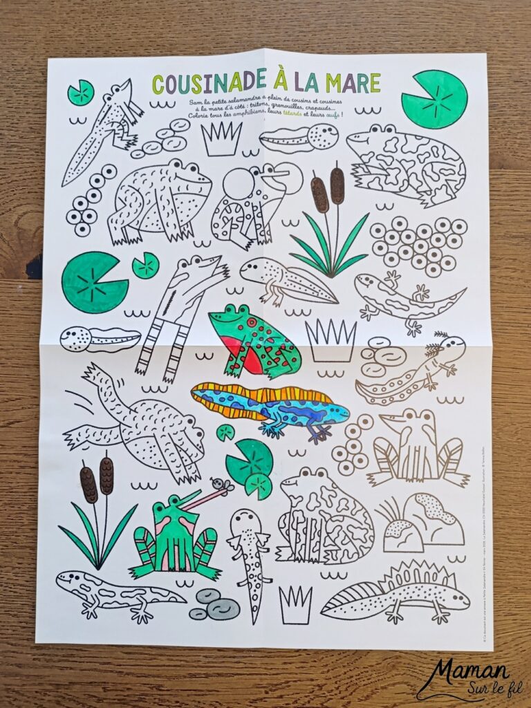 Fabriquer un tableau Couple de lièvres amoureux en récup' et présentation du nouveau magazine Petite Salamandre : activité créative, récup' et manuelle et lecture enfants - Recyclage, surcyclage d'une boite à oeufs et de carton - Découpage et collage de papier et de carton - Bricolage simple avec papier plein d'amour - Magazine Petite Salamandre parfaits pour les petits amoureux de la nature et des animaux 4 à 7 ans - Maternelle - 3 version pour tout âge - Complet et qualitatif - Reportages, belles photos, BD, jeux, activités manuelles... - Bricolage et décoration DIY et facile - Bricolage Fait maison, décoration - Thème Saint Valentin, amour, amitié, animaux de la forêt et campagne, nature - Bricolage sympa et facile - Arts visuels Maternelle et cycle 2 - Maternelle et élémentaire - Créativité et lecture jeunesse - Cycle 1 ou 2 - tutoriel photos - mslf