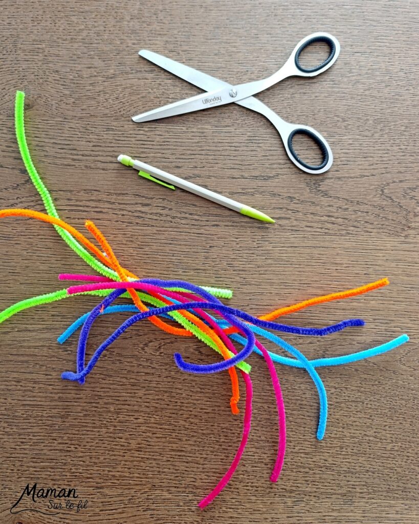 Fabriquer un clown aux cheveux avec un rouleau de PQ en carton : activité créative, récup', peinture et manuelle enfants - Recyclage, surcyclage d'un rouleau de papier toilette - Peindre une bande de papier avec peinture fluo - Pompon pour le nez - Cheveux frisés avec des fils chenille ondulé - Yeux mobiles, noeud papillon en carton - Bricolage facile, coloré et rigolo - Thème Carnaval, Mardi-Gras, cirque, anniversaire et fêtes - Bricolage et décoration sympa et facile - Arts visuels maternelle et élémentaire - Cycles 1 et 2 - Créativité - tutoriel photos - mslf