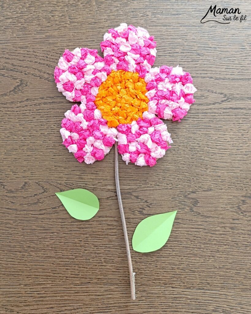 Fabriquer une fleur à offrir en carton et papier de soie : activité créative, collage, récup' et manuelle enfants - Recyclage, surcyclage de carton et de papiers de soie des colis - Boules de papier de soie froissé et collé - Tige avec branche d'arbre et message sur feuilles en papier - Colle vinylique - Cadeau DIY, fait maison à offrir - Bricolage facile et rigolo - Thème Saint Valentin, amour, amitié, coeurs, fête des mères, pères, grands-mères, grands-pères, à offrir, nature, printemps - Cadeau DIY - Bricolage et décoration sympa et facile - Arts visuels maternelle et élémentaire - Cycles 1 et 2 - Créativité - tutoriel photos et vidéo - mslf