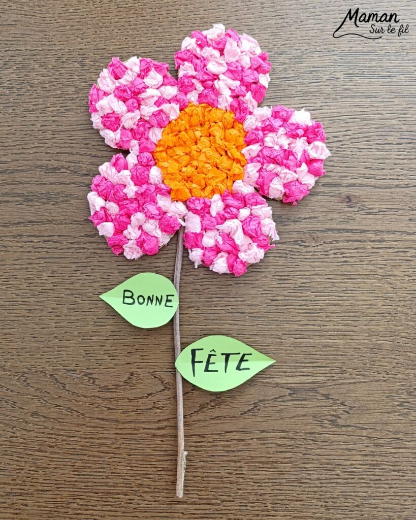 Fabriquer une fleur à offrir en carton et papier de soie : activité créative, collage, récup' et manuelle enfants - Recyclage, surcyclage de carton et de papiers de soie des colis - Boules de papier de soie froissé et collé - Tige avec branche d'arbre et message sur feuilles en papier - Colle vinylique - Cadeau DIY, fait maison à offrir - Bricolage facile et rigolo - Thème Saint Valentin, amour, amitié, coeurs, fête des mères, pères, grands-mères, grands-pères, à offrir, nature, printemps - Cadeau DIY - Bricolage et décoration sympa et facile - Arts visuels maternelle et élémentaire - Cycles 1 et 2 - Créativité - tutoriel photos et vidéo - mslf