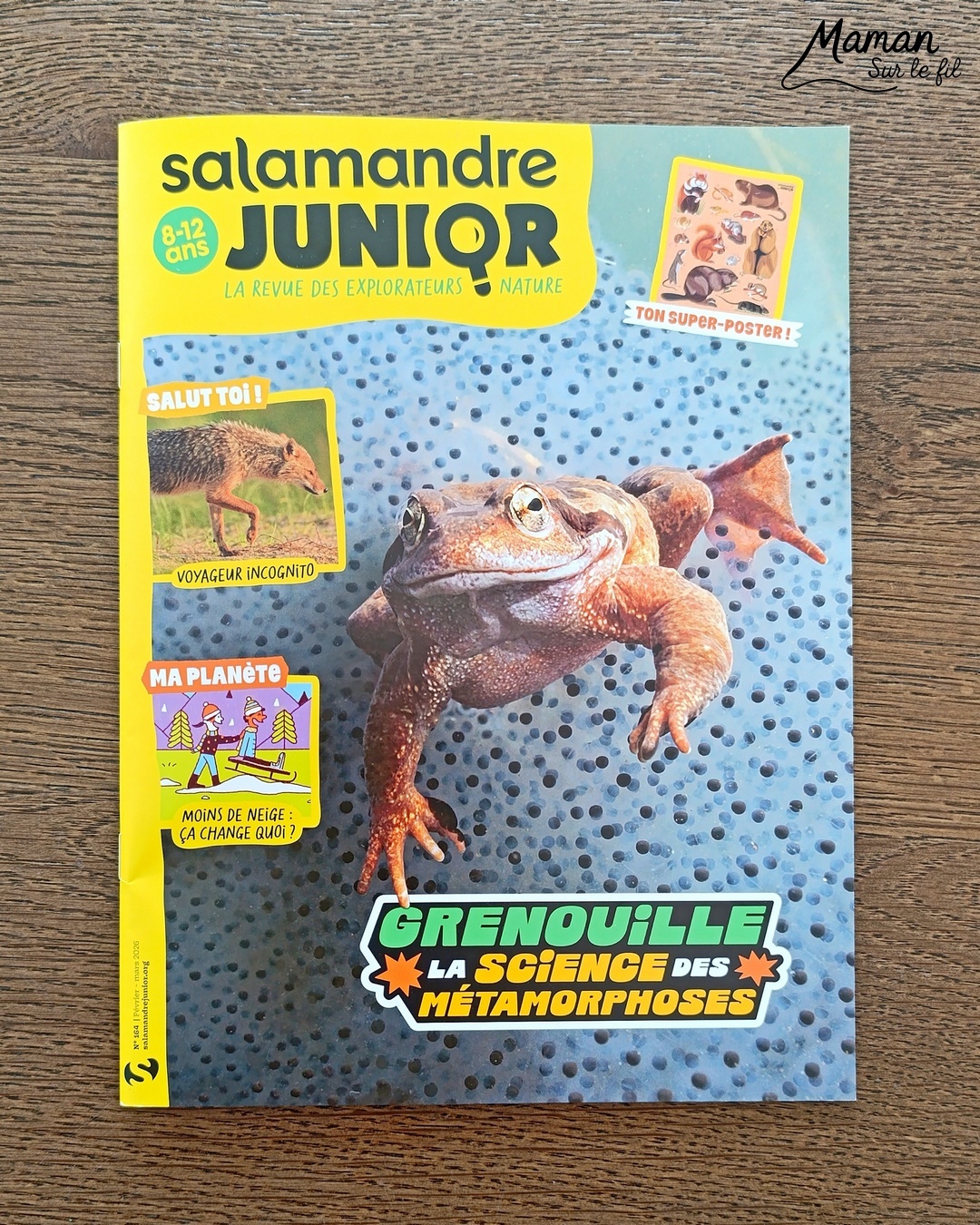 Fabriquer des grenouilles du carnaval qui tirent la langue et présentation du nouveau magazine Salamandre Junior : activité créative, collage et manuelle et lecture enfants - Fabriquer la grenouille avec des cercles de papier cartonné - Le système de langue est fait avec une langue de belle-mère ou mirliton - Magazine Salamandre Junior parfait pour 8 à 12 ans, amoureux de la nature et des animaux - Primaire et collège - 3 versions pour tout âge - Complet et qualitatif - Reportages, belles photos, BD, jeux, activités manuelles... - Bricolage et décoration DIY et facile - Bricolage Fait maison, décoration - Thème reptiles et batraciens, grenouilles et crapauds, carnaval, Mardi Gras - Bricolage sympa et facile - Arts visuels Maternelle et cycle 2 - Maternelle et élémentaire - Créativité et lecture jeunesse - Cycle 1 ou 2 - tutoriel photos et vidéo - mslf