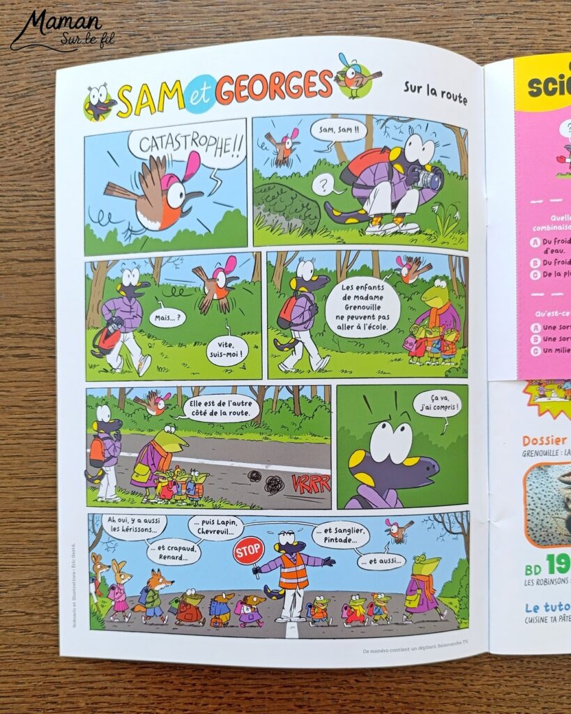 Fabriquer des grenouilles du carnaval qui tirent la langue et présentation du nouveau magazine Salamandre Junior : activité créative, collage et manuelle et lecture enfants - Fabriquer la grenouille avec des cercles de papier cartonné - Le système de langue est fait avec une langue de belle-mère ou mirliton - Magazine Salamandre Junior parfait pour 8 à 12 ans, amoureux de la nature et des animaux - Primaire et collège - 3 versions pour tout âge - Complet et qualitatif - Reportages, belles photos, BD, jeux, activités manuelles... - Bricolage et décoration DIY et facile - Bricolage Fait maison, décoration - Thème reptiles et batraciens, grenouilles et crapauds, carnaval, Mardi Gras - Bricolage sympa et facile - Arts visuels Maternelle et cycle 2 - Maternelle et élémentaire - Créativité et lecture jeunesse - Cycle 1 ou 2 - tutoriel photos et vidéo - mslf