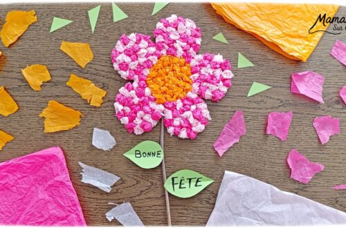 Fabriquer une fleur à offrir en carton et papier de soie : activité créative, collage, récup' et manuelle enfants - Recyclage, surcyclage de carton et de papiers de soie des colis - Boules de papier de soie froissé et collé - Tige avec branche d'arbre et message sur feuilles en papier - Colle vinylique - Cadeau DIY, fait maison à offrir - Bricolage facile et rigolo - Thème Saint Valentin, amour, amitié, coeurs, fête des mères, pères, grands-mères, grands-pères, à offrir, nature, printemps - Cadeau DIY - Bricolage et décoration sympa et facile - Arts visuels maternelle et élémentaire - Cycles 1 et 2 - Créativité - tutoriel photos et vidéo - mslf
