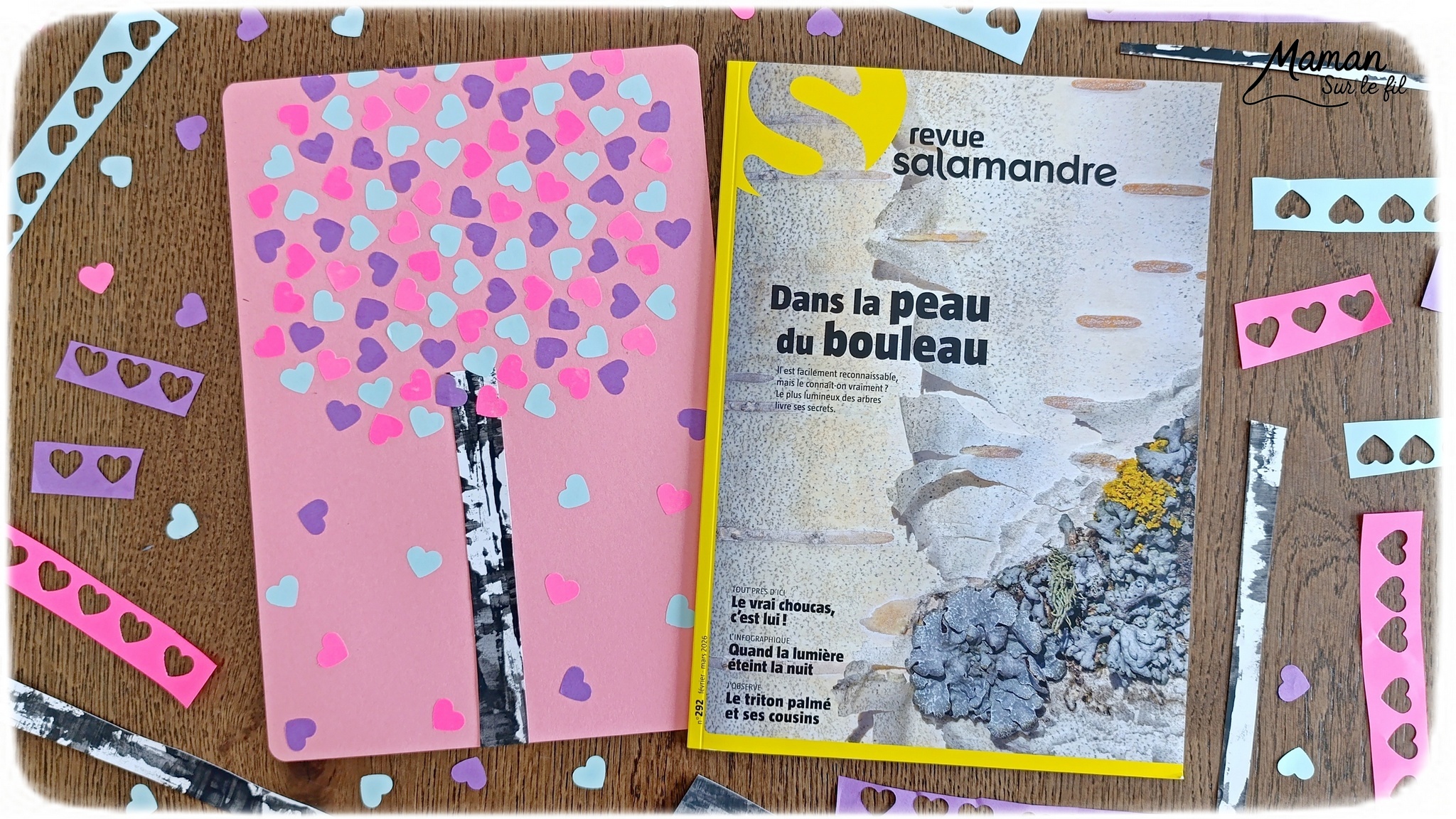 Créer un bouleau d'amour et présentation du nouveau magazine Revue Salamandre : activité créative, collage, peinture et manuelle et lecture enfants - Peindre le tronc du bouleau avec une bande de carton - Arbre d'amour avec coeurs perforés et collés - Perforatrice et collage - Bricolage simple avec papier plein d'amour - Magazine Revue Salamandre parfait pour les ados et adultes amoureux de la nature et des animaux - 13 ans et plus - Collège, Lycée - 3 version pour tout âge - Complet et qualitatif - Reportages, belles photos, BD, jeux, activités manuelles... - Bricolage et décoration DIY et facile - Bricolage Fait maison, décoration - Thème Saint Valentin, amour, amitié, forêt, arbres, nature - Bricolage sympa et facile - Arts visuels Maternelle et cycle 2 - Maternelle et élémentaire - Créativité et lecture jeunesse - Cycle 1 ou 2 - tutoriel photos - mslf