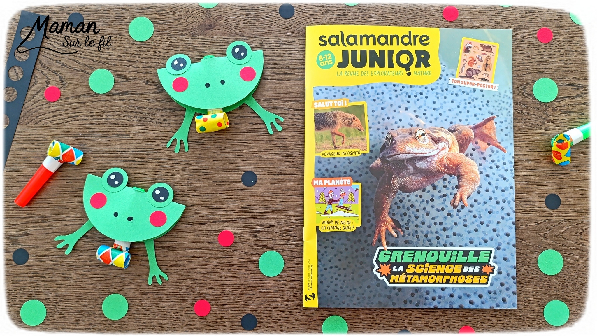 Fabriquer des grenouilles du carnaval qui tirent la langue et présentation du nouveau magazine Salamandre Junior : activité créative, collage et manuelle et lecture enfants - Fabriquer la grenouille avec des cercles de papier cartonné - Le système de langue est fait avec une langue de belle-mère ou mirliton - Magazine Salamandre Junior parfait pour 8 à 12 ans, amoureux de la nature et des animaux - Primaire et collège - 3 versions pour tout âge - Complet et qualitatif - Reportages, belles photos, BD, jeux, activités manuelles... - Bricolage et décoration DIY et facile - Bricolage Fait maison, décoration - Thème reptiles et batraciens, grenouilles et crapauds, carnaval, Mardi Gras - Bricolage sympa et facile - Arts visuels Maternelle et cycle 2 - Maternelle et élémentaire - Créativité et lecture jeunesse - Cycle 1 ou 2 - tutoriel photos et vidéo - mslf