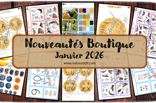 Nouveautés janvier 2026 - Boutique en ligne Ludo sur le fil - fichiers jeux pdf à télécharger et imprimer ou jeux imprimés envoyés à domicile - Thèmes Hiver, Animaux du froid, crêpes et Chandeleur - repère les couleurs, jeu des doubles, cartes Chiffres, association de graphies, écriture, puzzles, imagination, observation, langage oral, vocabulaire - Photos - Association, mise en paire, mathématiques - jeux, activités - PDF à télécharger et imprimer - PDF Gratuit, Printable à télécharger gratuitement - atelier autocorrectif multi niveaux donc progressif - Vocabulaire, lexique - Maternelle Cycle 2 - Autonomie - Carnaval, gourmandises, anniversaires, banquise, pôles - mslf