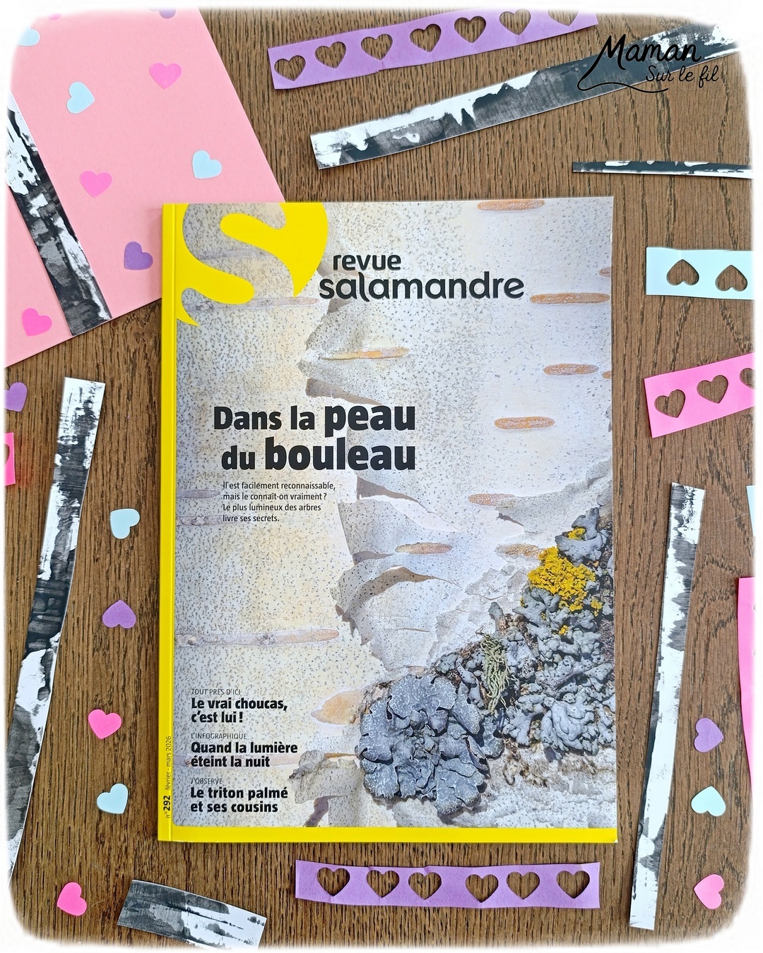 Créer un bouleau d'amour et présentation du nouveau magazine Revue Salamandre : activité créative, collage, peinture et manuelle et lecture enfants - Peindre le tronc du bouleau avec une bande de carton - Arbre d'amour avec coeurs perforés et collés - Perforatrice et collage - Bricolage simple avec papier plein d'amour - Magazine Revue Salamandre parfait pour les ados et adultes amoureux de la nature et des animaux - 13 ans et plus - Collège, Lycée - 3 version pour tout âge - Complet et qualitatif - Reportages, belles photos, BD, jeux, activités manuelles... - Bricolage et décoration DIY et facile - Bricolage Fait maison, décoration - Thème Saint Valentin, amour, amitié, forêt, arbres, nature - Bricolage sympa et facile - Arts visuels Maternelle et cycle 2 - Maternelle et élémentaire - Créativité et lecture jeunesse - Cycle 1 ou 2 - tutoriel photos - mslf