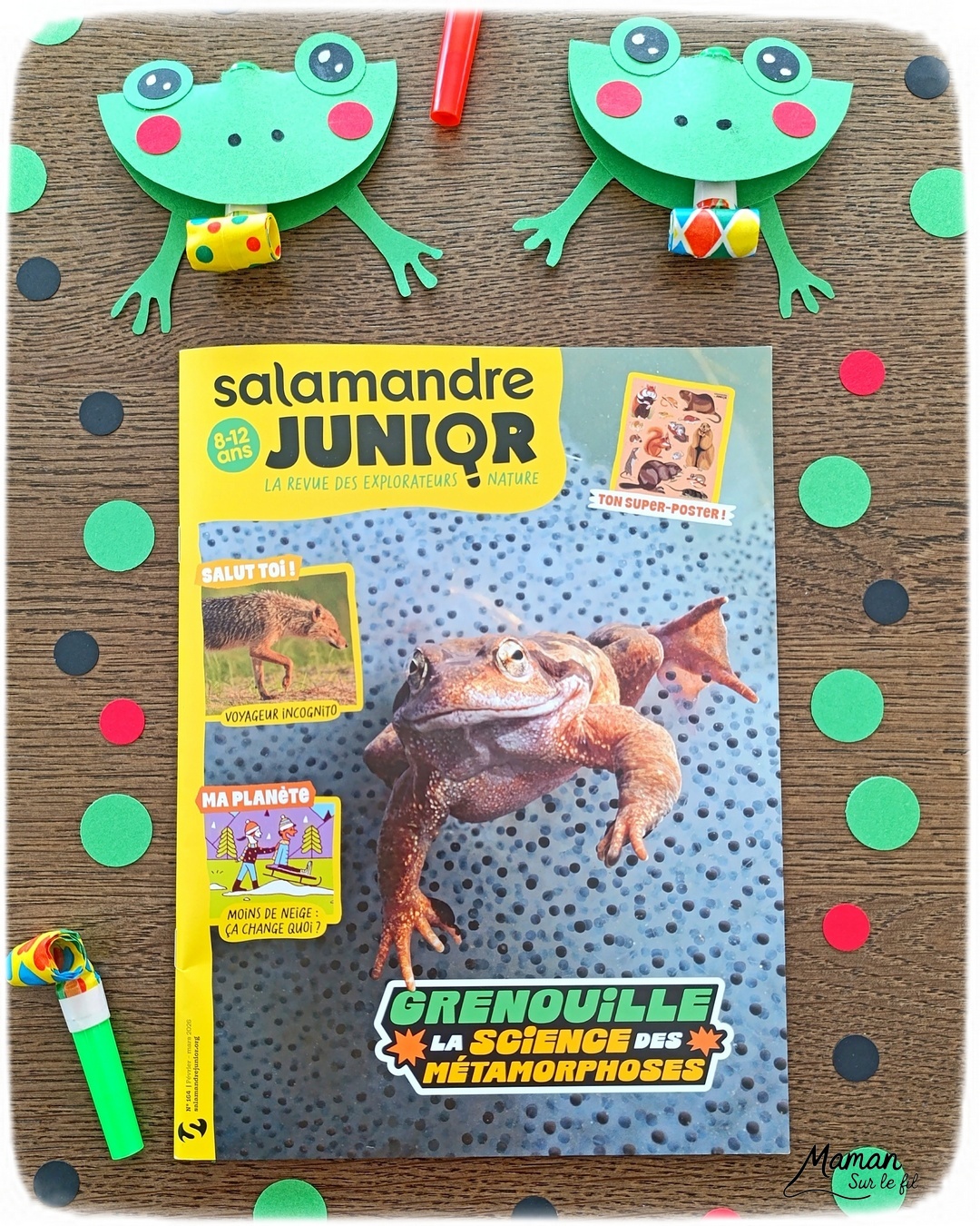 Fabriquer des grenouilles du carnaval qui tirent la langue et présentation du nouveau magazine Salamandre Junior : activité créative, collage et manuelle et lecture enfants - Fabriquer la grenouille avec des cercles de papier cartonné - Le système de langue est fait avec une langue de belle-mère ou mirliton - Magazine Salamandre Junior parfait pour 8 à 12 ans, amoureux de la nature et des animaux - Primaire et collège - 3 versions pour tout âge - Complet et qualitatif - Reportages, belles photos, BD, jeux, activités manuelles... - Bricolage et décoration DIY et facile - Bricolage Fait maison, décoration - Thème reptiles et batraciens, grenouilles et crapauds, carnaval, Mardi Gras - Bricolage sympa et facile - Arts visuels Maternelle et cycle 2 - Maternelle et élémentaire - Créativité et lecture jeunesse - Cycle 1 ou 2 - tutoriel photos et vidéo - mslf