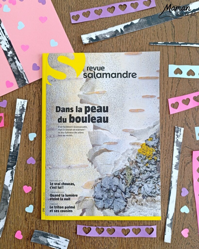 Créer un bouleau d'amour et présentation du nouveau magazine Revue Salamandre : activité créative, collage, peinture et manuelle et lecture enfants - Peindre le tronc du bouleau avec une bande de carton - Arbre d'amour avec coeurs perforés et collés - Perforatrice et collage - Bricolage simple avec papier plein d'amour - Magazine Revue Salamandre parfait pour les ados et adultes amoureux de la nature et des animaux - 13 ans et plus - Collège, Lycée - 3 version pour tout âge - Complet et qualitatif - Reportages, belles photos, BD, jeux, activités manuelles... - Bricolage et décoration DIY et facile - Bricolage Fait maison, décoration - Thème Saint Valentin, amour, amitié, forêt, arbres, nature - Bricolage sympa et facile - Arts visuels Maternelle et cycle 2 - Maternelle et élémentaire - Créativité et lecture jeunesse - Cycle 1 ou 2 - tutoriel photos - mslf