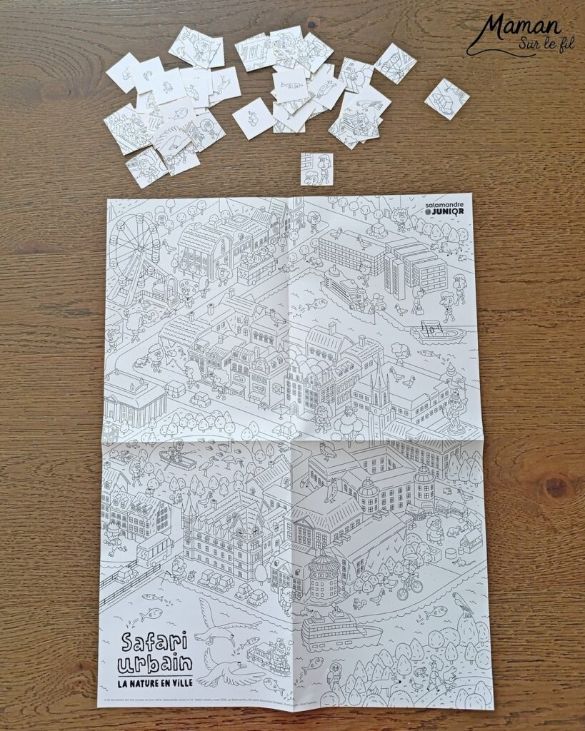 Fabriquer un canard de Pâques en carton et papier déchiré et présentation des nouveaux hors-séries Salamandre : activité créative, collage et manuelle et lecture enfants - Le canard colvert est fabriqué avec du carton et du papier - Découpage, collage - L'oeuf de Pâques est fait avec du carton et des bandes de papier déchiré - Graphismes et dessin - Avis sur les magazines Hors-série Petite Salamandre et Salamandre Junior, parfaits pour 4 à 12 ans, amoureux de la nature et des animaux - Maternelle, Primaire et collège - 3 versions pour tout âge - Complet et qualitatif - Reportages, belles photos, BD, jeux, activités manuelles... - Bricolage et décoration DIY et facile - Bricolage Fait maison, décoration - Thème Animaux de la ferme, animaux et nature en ville, oiseaux, canards, Pâques - Bricolage sympa et facile - Arts visuels Maternelle et cycle 2 - Maternelle et élémentaire - Créativité et lecture jeunesse - Cycle 1 ou 2 - tutoriel photos - mslf