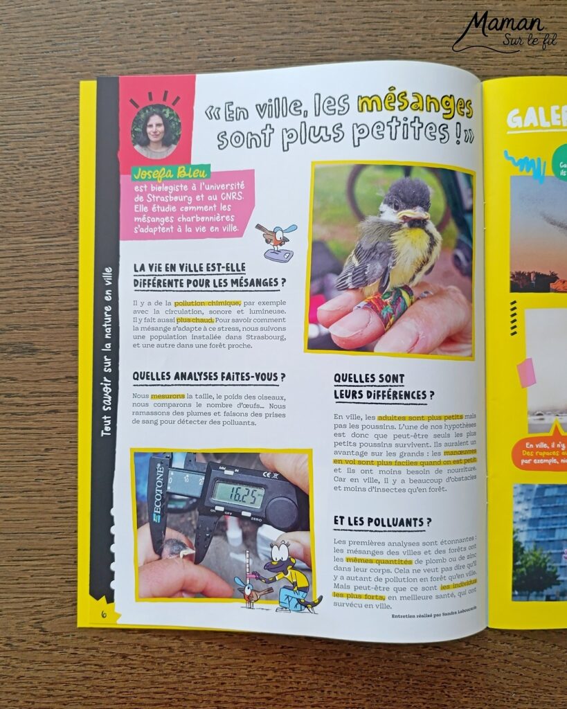 Fabriquer un canard de Pâques en carton et papier déchiré et présentation des nouveaux hors-séries Salamandre : activité créative, collage et manuelle et lecture enfants - Le canard colvert est fabriqué avec du carton et du papier - Découpage, collage - L'oeuf de Pâques est fait avec du carton et des bandes de papier déchiré - Graphismes et dessin - Avis sur les magazines Hors-série Petite Salamandre et Salamandre Junior, parfaits pour 4 à 12 ans, amoureux de la nature et des animaux - Maternelle, Primaire et collège - 3 versions pour tout âge - Complet et qualitatif - Reportages, belles photos, BD, jeux, activités manuelles... - Bricolage et décoration DIY et facile - Bricolage Fait maison, décoration - Thème Animaux de la ferme, animaux et nature en ville, oiseaux, canards, Pâques - Bricolage sympa et facile - Arts visuels Maternelle et cycle 2 - Maternelle et élémentaire - Créativité et lecture jeunesse - Cycle 1 ou 2 - tutoriel photos - mslf