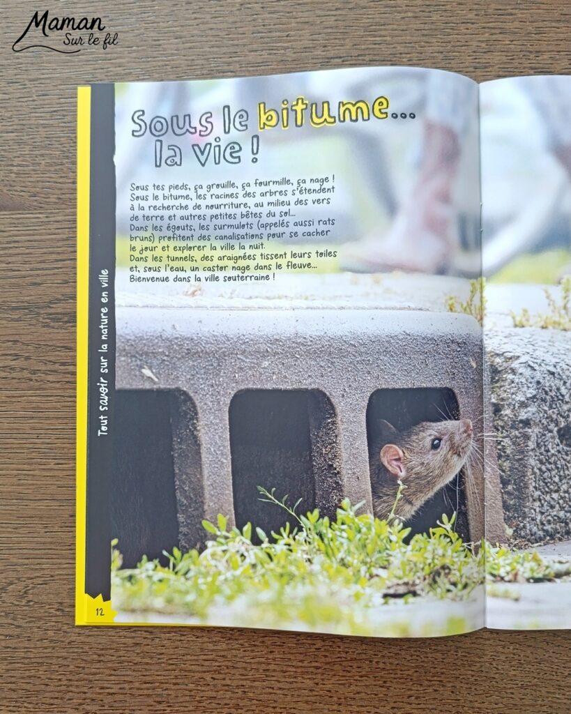 Fabriquer un canard de Pâques en carton et papier déchiré et présentation des nouveaux hors-séries Salamandre : activité créative, collage et manuelle et lecture enfants - Le canard colvert est fabriqué avec du carton et du papier - Découpage, collage - L'oeuf de Pâques est fait avec du carton et des bandes de papier déchiré - Graphismes et dessin - Avis sur les magazines Hors-série Petite Salamandre et Salamandre Junior, parfaits pour 4 à 12 ans, amoureux de la nature et des animaux - Maternelle, Primaire et collège - 3 versions pour tout âge - Complet et qualitatif - Reportages, belles photos, BD, jeux, activités manuelles... - Bricolage et décoration DIY et facile - Bricolage Fait maison, décoration - Thème Animaux de la ferme, animaux et nature en ville, oiseaux, canards, Pâques - Bricolage sympa et facile - Arts visuels Maternelle et cycle 2 - Maternelle et élémentaire - Créativité et lecture jeunesse - Cycle 1 ou 2 - tutoriel photos - mslf