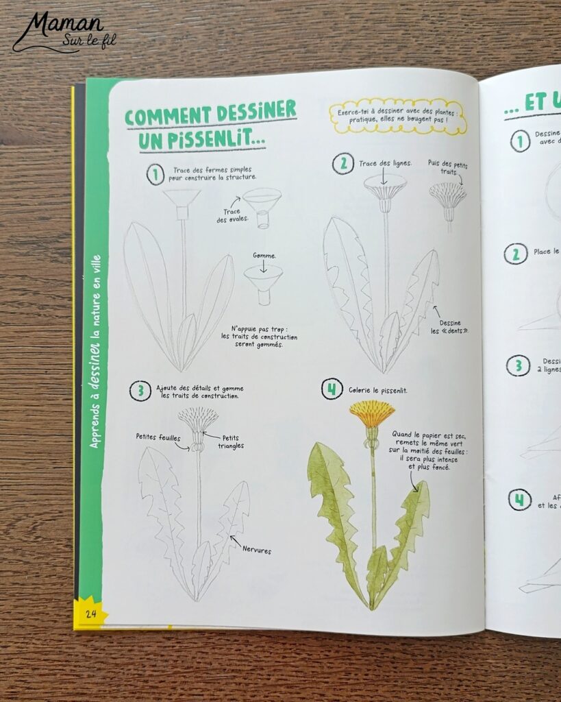 Fabriquer un canard de Pâques en carton et papier déchiré et présentation des nouveaux hors-séries Salamandre : activité créative, collage et manuelle et lecture enfants - Le canard colvert est fabriqué avec du carton et du papier - Découpage, collage - L'oeuf de Pâques est fait avec du carton et des bandes de papier déchiré - Graphismes et dessin - Avis sur les magazines Hors-série Petite Salamandre et Salamandre Junior, parfaits pour 4 à 12 ans, amoureux de la nature et des animaux - Maternelle, Primaire et collège - 3 versions pour tout âge - Complet et qualitatif - Reportages, belles photos, BD, jeux, activités manuelles... - Bricolage et décoration DIY et facile - Bricolage Fait maison, décoration - Thème Animaux de la ferme, animaux et nature en ville, oiseaux, canards, Pâques - Bricolage sympa et facile - Arts visuels Maternelle et cycle 2 - Maternelle et élémentaire - Créativité et lecture jeunesse - Cycle 1 ou 2 - tutoriel photos - mslf