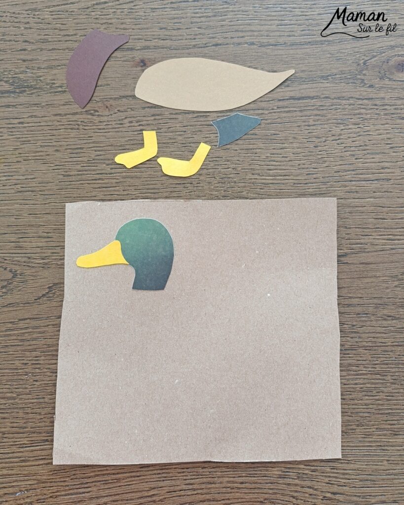 Fabriquer un canard de Pâques en carton et papier déchiré et présentation des nouveaux hors-séries Salamandre : activité créative, collage et manuelle et lecture enfants - Le canard colvert est fabriqué avec du carton et du papier - Découpage, collage - L'oeuf de Pâques est fait avec du carton et des bandes de papier déchiré - Graphismes et dessin - Avis sur les magazines Hors-série Petite Salamandre et Salamandre Junior, parfaits pour 4 à 12 ans, amoureux de la nature et des animaux - Maternelle, Primaire et collège - 3 versions pour tout âge - Complet et qualitatif - Reportages, belles photos, BD, jeux, activités manuelles... - Bricolage et décoration DIY et facile - Bricolage Fait maison, décoration - Thème Animaux de la ferme, animaux et nature en ville, oiseaux, canards, Pâques - Bricolage sympa et facile - Arts visuels Maternelle et cycle 2 - Maternelle et élémentaire - Créativité et lecture jeunesse - Cycle 1 ou 2 - tutoriel photos - mslf