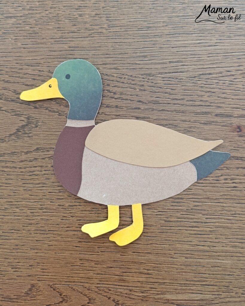 Fabriquer un canard de Pâques en carton et papier déchiré et présentation des nouveaux hors-séries Salamandre : activité créative, collage et manuelle et lecture enfants - Le canard colvert est fabriqué avec du carton et du papier - Découpage, collage - L'oeuf de Pâques est fait avec du carton et des bandes de papier déchiré - Graphismes et dessin - Avis sur les magazines Hors-série Petite Salamandre et Salamandre Junior, parfaits pour 4 à 12 ans, amoureux de la nature et des animaux - Maternelle, Primaire et collège - 3 versions pour tout âge - Complet et qualitatif - Reportages, belles photos, BD, jeux, activités manuelles... - Bricolage et décoration DIY et facile - Bricolage Fait maison, décoration - Thème Animaux de la ferme, animaux et nature en ville, oiseaux, canards, Pâques - Bricolage sympa et facile - Arts visuels Maternelle et cycle 2 - Maternelle et élémentaire - Créativité et lecture jeunesse - Cycle 1 ou 2 - tutoriel photos - mslf