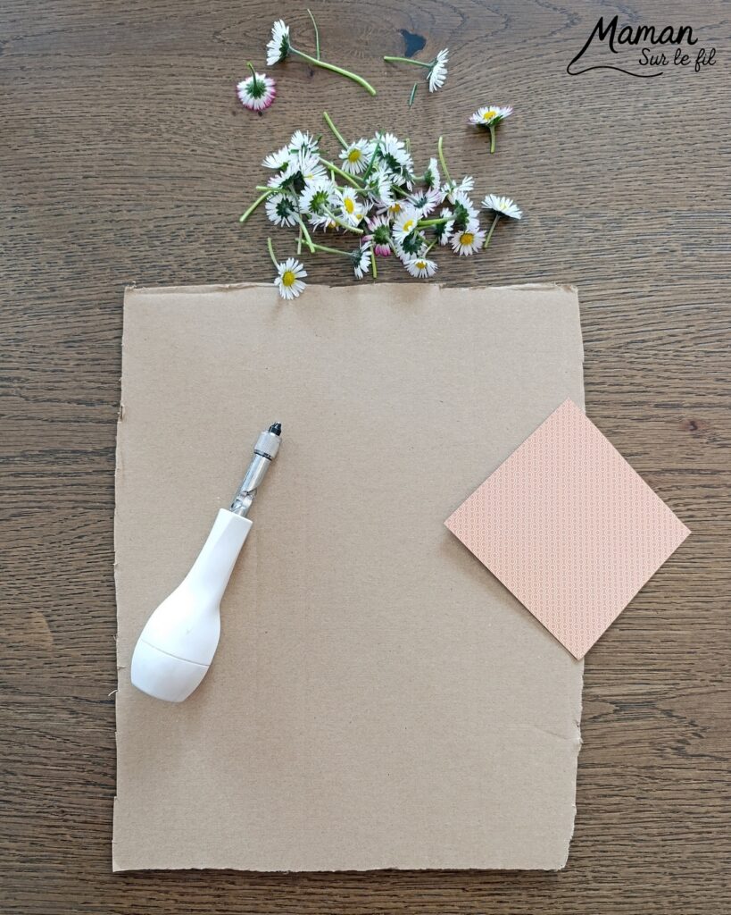 Fabriquer une fleur avec des pâquerettes et du carton : activité créative, récup', nature et manuelle enfants - Recyclage, surcyclage de carton - Coeur avec du papier à motifs - Trous dans le carton à remplir avec des fleurs pour décorer les pétales - Cueillette de pâquerettes - Utiliser les trésors du printemps - Land Art, atelier nature, école dehors - Décoration éphémère DIY Fait maison - Cadeau DIY, fait maison à offrir - Bricolage facile - Thème fleurs, nature, printemps - Bricolage et décoration sympa et facile - Arts visuels maternelle et élémentaire - Cycles 1 et 2 - Créativité - tutoriel photos et vidéo - mslf