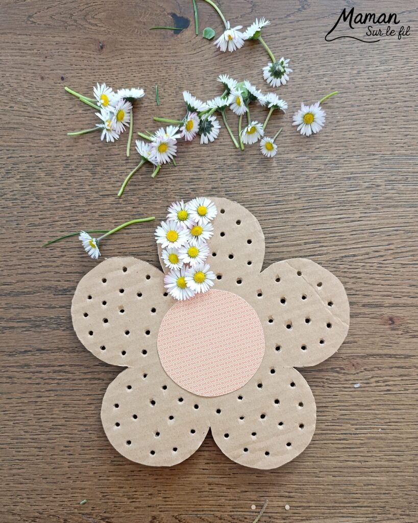 Fabriquer une fleur avec des pâquerettes et du carton : activité créative, récup', nature et manuelle enfants - Recyclage, surcyclage de carton - Coeur avec du papier à motifs - Trous dans le carton à remplir avec des fleurs pour décorer les pétales - Cueillette de pâquerettes - Utiliser les trésors du printemps - Land Art, atelier nature, école dehors - Décoration éphémère DIY Fait maison - Cadeau DIY, fait maison à offrir - Bricolage facile - Thème fleurs, nature, printemps - Bricolage et décoration sympa et facile - Arts visuels maternelle et élémentaire - Cycles 1 et 2 - Créativité - tutoriel photos et vidéo - mslf