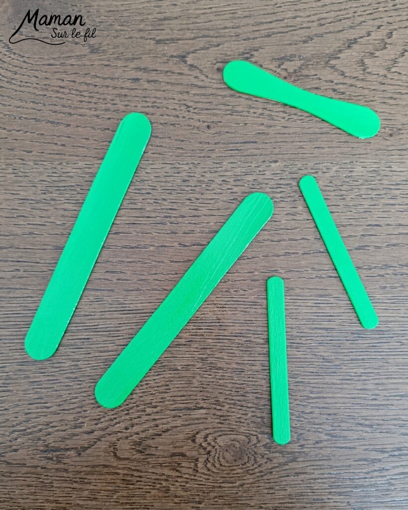 Fabriquer un camion printanier pour le transport des fleurs : activité créative, récup', nature, peinture et manuelle enfants - Recyclage, surcyclage de bâtonnets de glace en bois - Peindre en vert pour rappeler l'herbe du printemps - Carton pour la barrière - Papier pour les roues et la fenêtre - Fleurs séchées collées sur une pochette plastique - Utiliser les trésors du printemps - Land Art, atelier nature, école dehors - Décoration DIY Fait maison - Cadeau DIY, fait maison à offrir - Bricolage facile et rapide - Thème fleurs, nature, printemps, véhicules terrestres - Bricolage et décoration sympa et facile - Arts visuels maternelle et élémentaire - Cycles 1 et 2 - Créativité - tutoriel photos - mslf