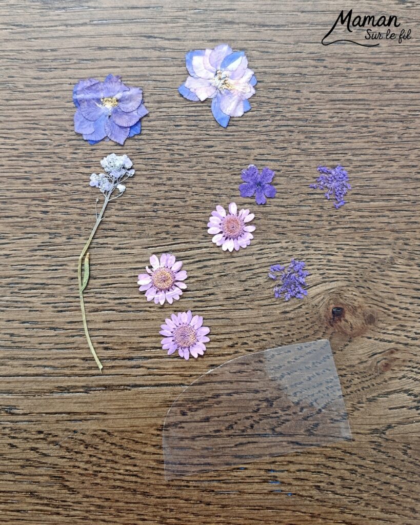 Fabriquer un camion printanier pour le transport des fleurs : activité créative, récup', nature, peinture et manuelle enfants - Recyclage, surcyclage de bâtonnets de glace en bois - Peindre en vert pour rappeler l'herbe du printemps - Carton pour la barrière - Papier pour les roues et la fenêtre - Fleurs séchées collées sur une pochette plastique - Utiliser les trésors du printemps - Land Art, atelier nature, école dehors - Décoration DIY Fait maison - Cadeau DIY, fait maison à offrir - Bricolage facile et rapide - Thème fleurs, nature, printemps, véhicules terrestres - Bricolage et décoration sympa et facile - Arts visuels maternelle et élémentaire - Cycles 1 et 2 - Créativité - tutoriel photos - mslf