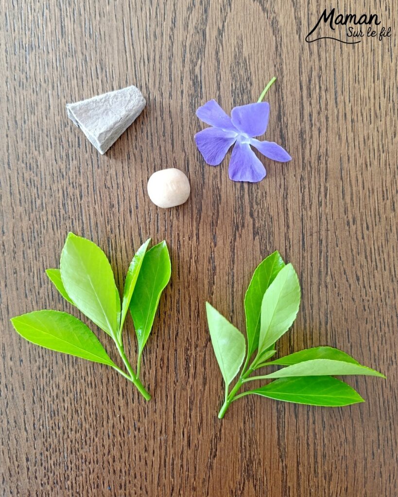 Créer une fée Nature du printemps : activité créative, récup', peinture, nature et manuelle enfants - Recyclage, surcyclage de boites à oeufs - Découper et peindre un pic en carton - Ailes avec des feuilles vertes - Tête avec perle en bois - Cheveux et chapeau avec fleur violette - Utiliser les trésors du printemps - Land Art, atelier nature, école dehors - Décoration éphémère DIY Fait maison - Cadeau DIY, fait maison à offrir - Bricolage facile et rapide - Thème fleurs, nature, printemps, personnages imaginaires et féériques - Bricolage et décoration sympa et facile - Arts visuels maternelle et élémentaire - Cycles 1 et 2 - Créativité - tutoriel photos - mslf