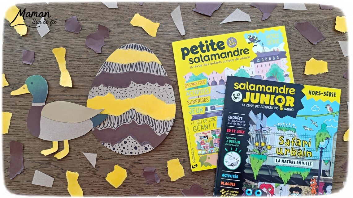 Fabriquer un canard de Pâques en carton et papier déchiré et présentation des nouveaux hors-séries Salamandre : activité créative, collage et manuelle et lecture enfants - Le canard colvert est fabriqué avec du carton et du papier - Découpage, collage - L'oeuf de Pâques est fait avec du carton et des bandes de papier déchiré - Graphismes et dessin - Avis sur les magazines Hors-série Petite Salamandre et Salamandre Junior, parfaits pour 4 à 12 ans, amoureux de la nature et des animaux - Maternelle, Primaire et collège - 3 versions pour tout âge - Complet et qualitatif - Reportages, belles photos, BD, jeux, activités manuelles... - Bricolage et décoration DIY et facile - Bricolage Fait maison, décoration - Thème Animaux de la ferme, animaux et nature en ville, oiseaux, canards, Pâques - Bricolage sympa et facile - Arts visuels Maternelle et cycle 2 - Maternelle et élémentaire - Créativité et lecture jeunesse - Cycle 1 ou 2 - tutoriel photos - mslf