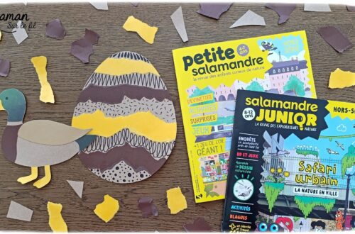 Fabriquer un canard de Pâques en carton et papier déchiré et présentation des nouveaux hors-séries Salamandre : activité créative, collage et manuelle et lecture enfants - Le canard colvert est fabriqué avec du carton et du papier - Découpage, collage - L'oeuf de Pâques est fait avec du carton et des bandes de papier déchiré - Graphismes et dessin - Avis sur les magazines Hors-série Petite Salamandre et Salamandre Junior, parfaits pour 4 à 12 ans, amoureux de la nature et des animaux - Maternelle, Primaire et collège - 3 versions pour tout âge - Complet et qualitatif - Reportages, belles photos, BD, jeux, activités manuelles... - Bricolage et décoration DIY et facile - Bricolage Fait maison, décoration - Thème Animaux de la ferme, animaux et nature en ville, oiseaux, canards, Pâques - Bricolage sympa et facile - Arts visuels Maternelle et cycle 2 - Maternelle et élémentaire - Créativité et lecture jeunesse - Cycle 1 ou 2 - tutoriel photos - mslf