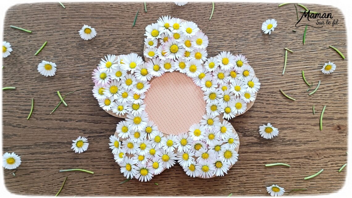 Fabriquer une fleur avec des pâquerettes et du carton : activité créative, récup', nature et manuelle enfants - Recyclage, surcyclage de carton - Coeur avec du papier à motifs - Trous dans le carton à remplir avec des fleurs pour décorer les pétales - Cueillette de pâquerettes - Utiliser les trésors du printemps - Land Art, atelier nature, école dehors - Décoration éphémère DIY Fait maison - Cadeau DIY, fait maison à offrir - Bricolage facile - Thème fleurs, nature, printemps - Bricolage et décoration sympa et facile - Arts visuels maternelle et élémentaire - Cycles 1 et 2 - Créativité - tutoriel photos et vidéo - mslf