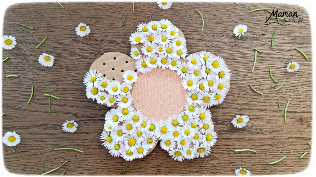 Fabriquer une fleur avec des pâquerettes et du carton : activité créative, récup', nature et manuelle enfants - Recyclage, surcyclage de carton - Coeur avec du papier à motifs - Trous dans le carton à remplir avec des fleurs pour décorer les pétales - Cueillette de pâquerettes - Utiliser les trésors du printemps - Land Art, atelier nature, école dehors - Décoration éphémère DIY Fait maison - Cadeau DIY, fait maison à offrir - Bricolage facile - Thème fleurs, nature, printemps - Bricolage et décoration sympa et facile - Arts visuels maternelle et élémentaire - Cycles 1 et 2 - Créativité - tutoriel photos et vidéo - mslf