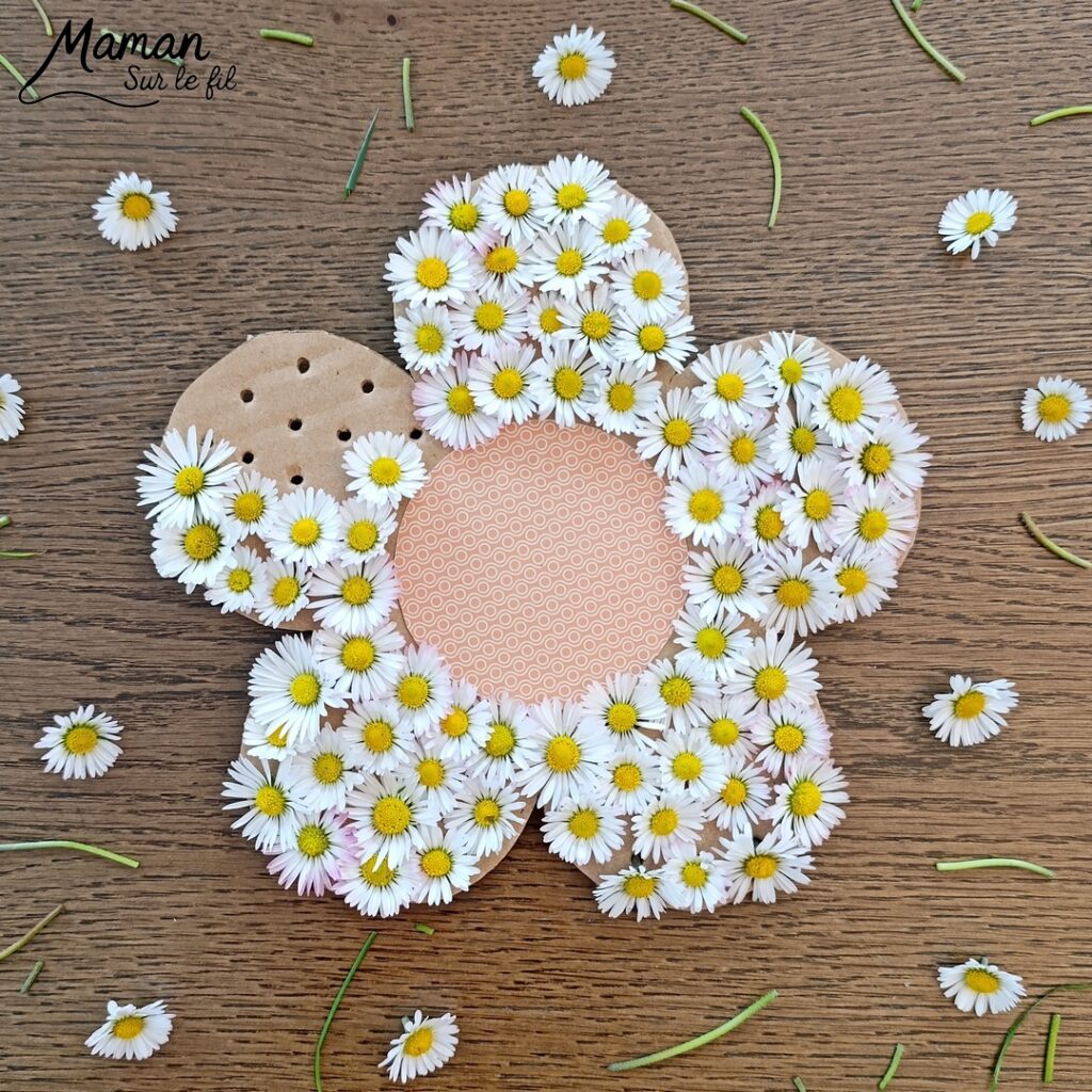 Fabriquer une fleur avec des pâquerettes et du carton : activité créative, récup', nature et manuelle enfants - Recyclage, surcyclage de carton - Coeur avec du papier à motifs - Trous dans le carton à remplir avec des fleurs pour décorer les pétales - Cueillette de pâquerettes - Utiliser les trésors du printemps - Land Art, atelier nature, école dehors - Décoration éphémère DIY Fait maison - Cadeau DIY, fait maison à offrir - Bricolage facile - Thème fleurs, nature, printemps - Bricolage et décoration sympa et facile - Arts visuels maternelle et élémentaire - Cycles 1 et 2 - Créativité - tutoriel photos et vidéo - mslf