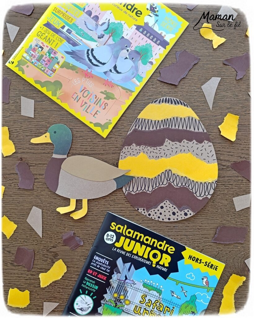 Fabriquer un canard de Pâques en carton et papier déchiré et présentation des nouveaux hors-séries Salamandre : activité créative, collage et manuelle et lecture enfants - Le canard colvert est fabriqué avec du carton et du papier - Découpage, collage - L'oeuf de Pâques est fait avec du carton et des bandes de papier déchiré - Graphismes et dessin - Avis sur les magazines Hors-série Petite Salamandre et Salamandre Junior, parfaits pour 4 à 12 ans, amoureux de la nature et des animaux - Maternelle, Primaire et collège - 3 versions pour tout âge - Complet et qualitatif - Reportages, belles photos, BD, jeux, activités manuelles... - Bricolage et décoration DIY et facile - Bricolage Fait maison, décoration - Thème Animaux de la ferme, animaux et nature en ville, oiseaux, canards, Pâques - Bricolage sympa et facile - Arts visuels Maternelle et cycle 2 - Maternelle et élémentaire - Créativité et lecture jeunesse - Cycle 1 ou 2 - tutoriel photos - mslf