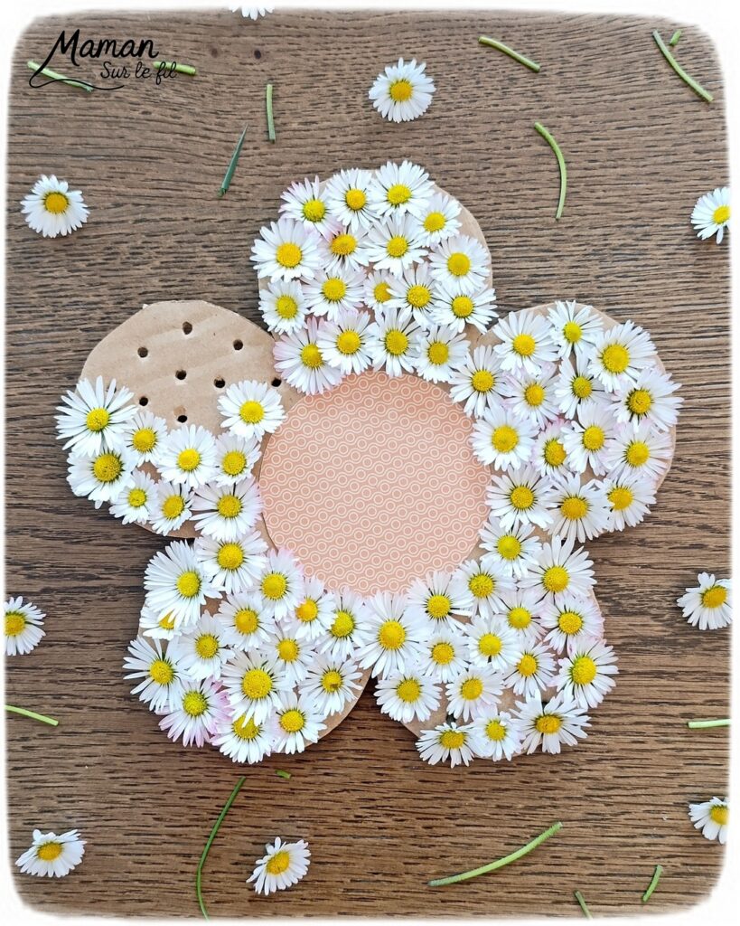 Fabriquer une fleur avec des pâquerettes et du carton : activité créative, récup', nature et manuelle enfants - Recyclage, surcyclage de carton - Coeur avec du papier à motifs - Trous dans le carton à remplir avec des fleurs pour décorer les pétales - Cueillette de pâquerettes - Utiliser les trésors du printemps - Land Art, atelier nature, école dehors - Décoration éphémère DIY Fait maison - Cadeau DIY, fait maison à offrir - Bricolage facile - Thème fleurs, nature, printemps - Bricolage et décoration sympa et facile - Arts visuels maternelle et élémentaire - Cycles 1 et 2 - Créativité - tutoriel photos et vidéo - mslf
