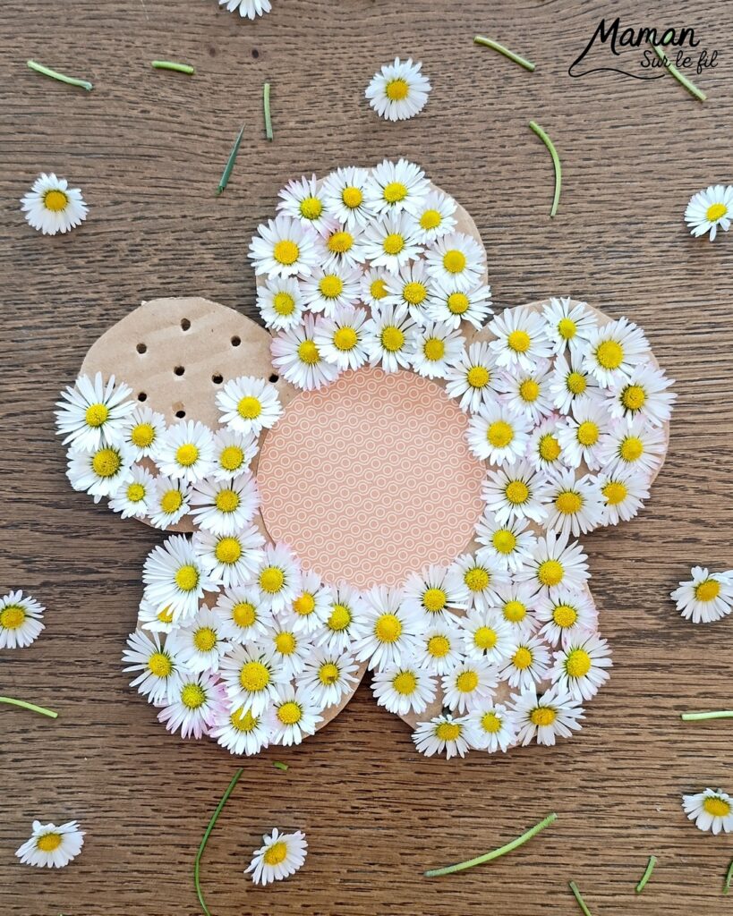 Fabriquer une fleur avec des pâquerettes et du carton : activité créative, récup', nature et manuelle enfants - Recyclage, surcyclage de carton - Coeur avec du papier à motifs - Trous dans le carton à remplir avec des fleurs pour décorer les pétales - Cueillette de pâquerettes - Utiliser les trésors du printemps - Land Art, atelier nature, école dehors - Décoration éphémère DIY Fait maison - Cadeau DIY, fait maison à offrir - Bricolage facile - Thème fleurs, nature, printemps - Bricolage et décoration sympa et facile - Arts visuels maternelle et élémentaire - Cycles 1 et 2 - Créativité - tutoriel photos et vidéo - mslf
