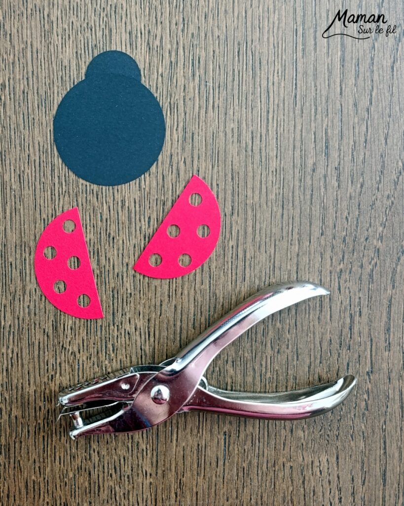 Fabriquer des cartes Coccinelles en 3D avec des trous : activité créative, papier et manuelle enfants - Perforatrices Cercles pour les coccinelles et perforatrice 1 trou pour les trous des ailes (points) - Découpage, collage, symétrie - Pliage de bandes de papier en accordéon pour l'effet en relief, volume, 3D et le mouvement - Impression que les coccinelles s'envolent - Dessins noirs - Bricolage sympa et facile - Thème insectes et autres petites bêtes, nature, printemps - Bricolage et décoration sympa et facile - Arts visuels maternelle et élémentaire - Cycles 1 et 2 - Créativité - tutoriel photos et vidéo - mslf