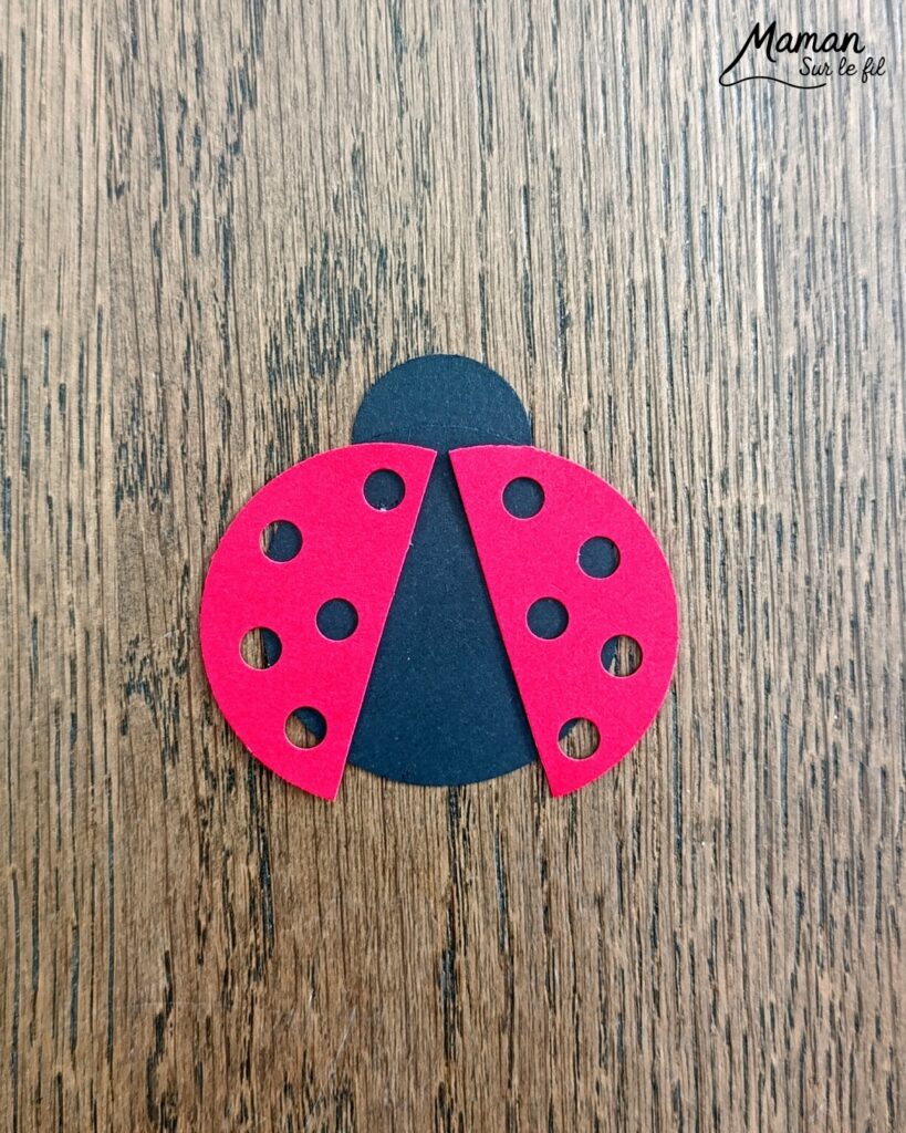 Fabriquer des cartes Coccinelles en 3D avec des trous : activité créative, papier et manuelle enfants - Perforatrices Cercles pour les coccinelles et perforatrice 1 trou pour les trous des ailes (points) - Découpage, collage, symétrie - Pliage de bandes de papier en accordéon pour l'effet en relief, volume, 3D et le mouvement - Impression que les coccinelles s'envolent - Dessins noirs - Bricolage sympa et facile - Thème insectes et autres petites bêtes, nature, printemps - Bricolage et décoration sympa et facile - Arts visuels maternelle et élémentaire - Cycles 1 et 2 - Créativité - tutoriel photos et vidéo - mslf