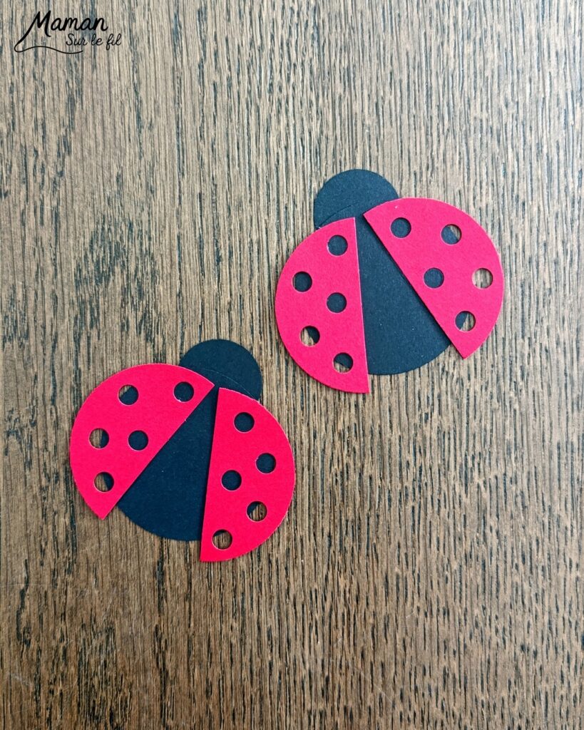 Fabriquer des cartes Coccinelles en 3D avec des trous : activité créative, papier et manuelle enfants - Perforatrices Cercles pour les coccinelles et perforatrice 1 trou pour les trous des ailes (points) - Découpage, collage, symétrie - Pliage de bandes de papier en accordéon pour l'effet en relief, volume, 3D et le mouvement - Impression que les coccinelles s'envolent - Dessins noirs - Bricolage sympa et facile - Thème insectes et autres petites bêtes, nature, printemps - Bricolage et décoration sympa et facile - Arts visuels maternelle et élémentaire - Cycles 1 et 2 - Créativité - tutoriel photos et vidéo - mslf