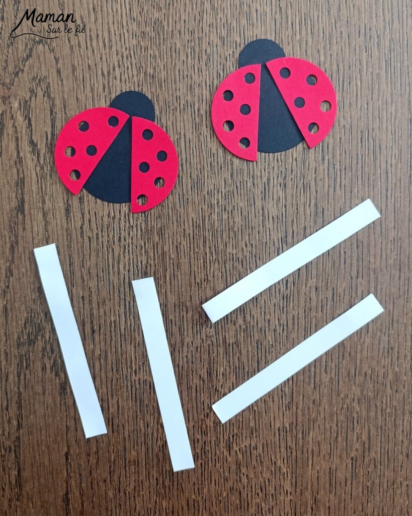 Fabriquer des cartes Coccinelles en 3D avec des trous : activité créative, papier et manuelle enfants - Perforatrices Cercles pour les coccinelles et perforatrice 1 trou pour les trous des ailes (points) - Découpage, collage, symétrie - Pliage de bandes de papier en accordéon pour l'effet en relief, volume, 3D et le mouvement - Impression que les coccinelles s'envolent - Dessins noirs - Bricolage sympa et facile - Thème insectes et autres petites bêtes, nature, printemps - Bricolage et décoration sympa et facile - Arts visuels maternelle et élémentaire - Cycles 1 et 2 - Créativité - tutoriel photos et vidéo - mslf