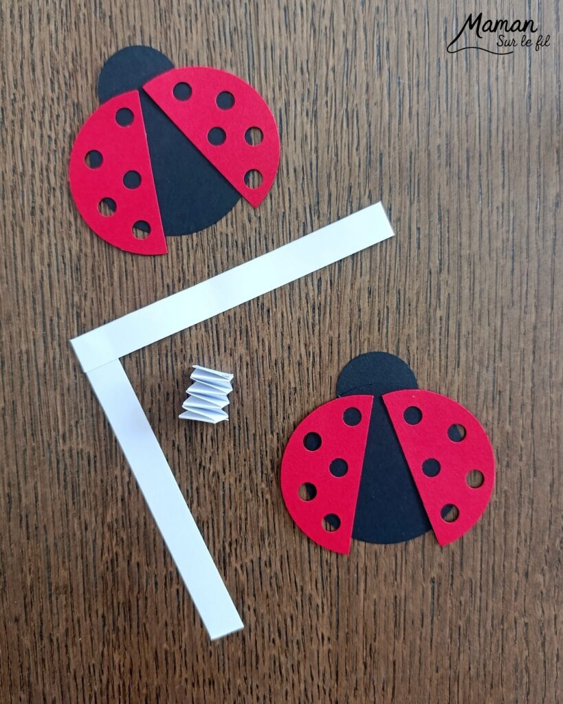 Fabriquer des cartes Coccinelles en 3D avec des trous : activité créative, papier et manuelle enfants - Perforatrices Cercles pour les coccinelles et perforatrice 1 trou pour les trous des ailes (points) - Découpage, collage, symétrie - Pliage de bandes de papier en accordéon pour l'effet en relief, volume, 3D et le mouvement - Impression que les coccinelles s'envolent - Dessins noirs - Bricolage sympa et facile - Thème insectes et autres petites bêtes, nature, printemps - Bricolage et décoration sympa et facile - Arts visuels maternelle et élémentaire - Cycles 1 et 2 - Créativité - tutoriel photos et vidéo - mslf