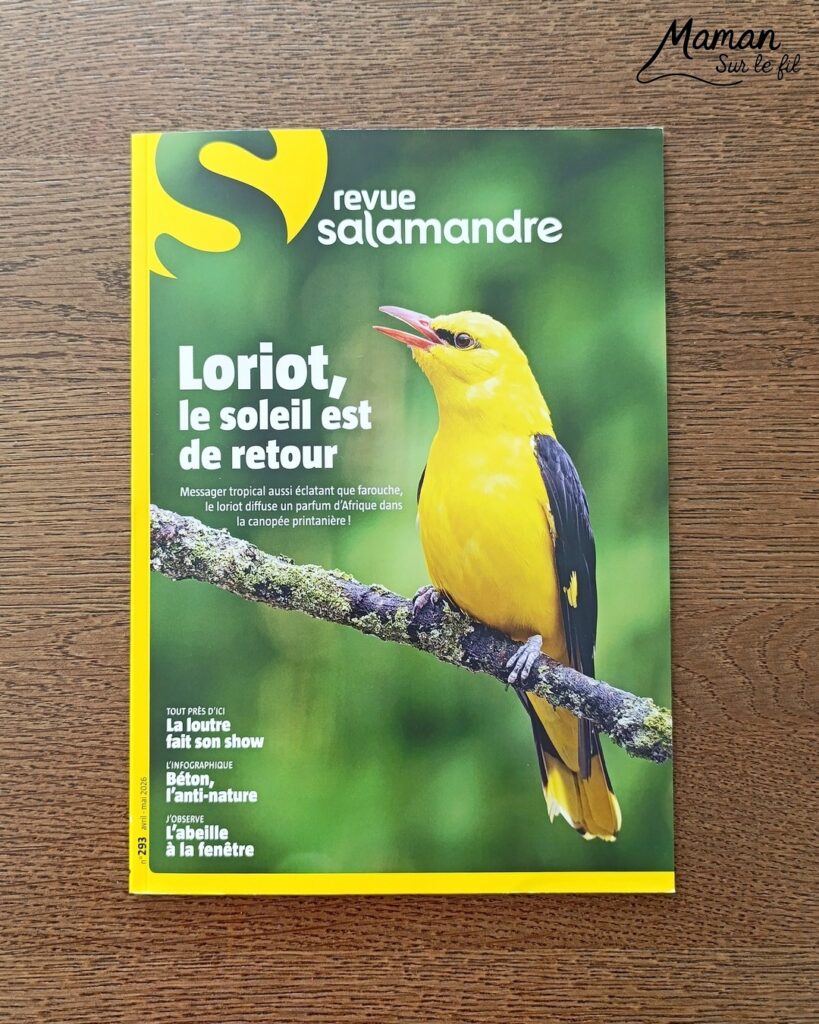Fabriquer un pic vert accroché à son gobelet et présentation des nouveaux magazines Salamandre : activité créative, collage et manuelle et lecture enfants - Le pivert est dessiné grâce au tutoriel pas à pas de Salamandre - Collé sur du carton - Fil et gobelet pour le système du pivert qui tape le tronc d'arbre - Avis sur les nouveaux magazines Petite Salamandre sur les pics verts, Salamandre Junior sur les hamsters, et Revue Salamandre sur les loriots - Magazines parfaits pour 4 à 99 ans, enfants et adultes, amoureux de la nature et des animaux - Maternelle, Primaire et collège - 3 versions pour tout âge - Complet et qualitatif - Reportages, belles photos, BD, jeux, activités manuelles... - Bricolage et décoration DIY et facile - Bricolage Fait maison, décoration - Thème Animaux et nature, oiseaux, forêts - Bricolage sympa et facile - Code promo pour un numéro gratuit - Arts visuels Maternelle et cycle 2 - Maternelle et élémentaire - Créativité et lecture jeunesse - Cycle 1 ou 2 - tutoriel photos et vidéo - mslf