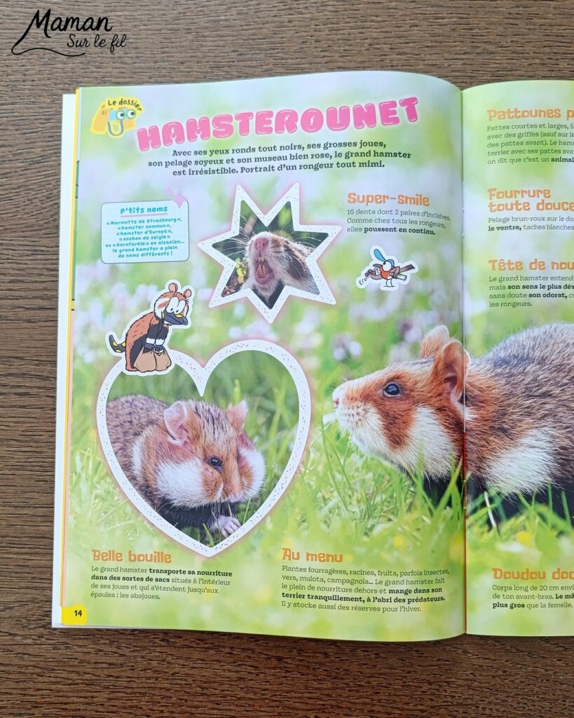 Fabriquer un pic vert accroché à son gobelet et présentation des nouveaux magazines Salamandre : activité créative, collage et manuelle et lecture enfants - Le pivert est dessiné grâce au tutoriel pas à pas de Salamandre - Collé sur du carton - Fil et gobelet pour le système du pivert qui tape le tronc d'arbre - Avis sur les nouveaux magazines Petite Salamandre sur les pics verts, Salamandre Junior sur les hamsters, et Revue Salamandre sur les loriots - Magazines parfaits pour 4 à 99 ans, enfants et adultes, amoureux de la nature et des animaux - Maternelle, Primaire et collège - 3 versions pour tout âge - Complet et qualitatif - Reportages, belles photos, BD, jeux, activités manuelles... - Bricolage et décoration DIY et facile - Bricolage Fait maison, décoration - Thème Animaux et nature, oiseaux, forêts - Bricolage sympa et facile - Code promo pour un numéro gratuit - Arts visuels Maternelle et cycle 2 - Maternelle et élémentaire - Créativité et lecture jeunesse - Cycle 1 ou 2 - tutoriel photos et vidéo - mslf