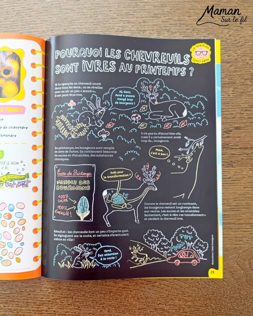 Fabriquer un pic vert accroché à son gobelet et présentation des nouveaux magazines Salamandre : activité créative, collage et manuelle et lecture enfants - Le pivert est dessiné grâce au tutoriel pas à pas de Salamandre - Collé sur du carton - Fil et gobelet pour le système du pivert qui tape le tronc d'arbre - Avis sur les nouveaux magazines Petite Salamandre sur les pics verts, Salamandre Junior sur les hamsters, et Revue Salamandre sur les loriots - Magazines parfaits pour 4 à 99 ans, enfants et adultes, amoureux de la nature et des animaux - Maternelle, Primaire et collège - 3 versions pour tout âge - Complet et qualitatif - Reportages, belles photos, BD, jeux, activités manuelles... - Bricolage et décoration DIY et facile - Bricolage Fait maison, décoration - Thème Animaux et nature, oiseaux, forêts - Bricolage sympa et facile - Code promo pour un numéro gratuit - Arts visuels Maternelle et cycle 2 - Maternelle et élémentaire - Créativité et lecture jeunesse - Cycle 1 ou 2 - tutoriel photos et vidéo - mslf