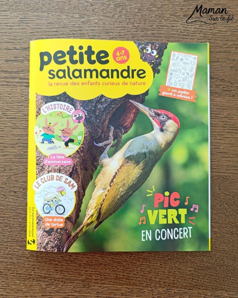 Fabriquer un pic vert accroché à son gobelet et présentation des nouveaux magazines Salamandre : activité créative, collage et manuelle et lecture enfants - Le pivert est dessiné grâce au tutoriel pas à pas de Salamandre - Collé sur du carton - Fil et gobelet pour le système du pivert qui tape le tronc d'arbre - Avis sur les nouveaux magazines Petite Salamandre sur les pics verts, Salamandre Junior sur les hamsters, et Revue Salamandre sur les loriots - Magazines parfaits pour 4 à 99 ans, enfants et adultes, amoureux de la nature et des animaux - Maternelle, Primaire et collège - 3 versions pour tout âge - Complet et qualitatif - Reportages, belles photos, BD, jeux, activités manuelles... - Bricolage et décoration DIY et facile - Bricolage Fait maison, décoration - Thème Animaux et nature, oiseaux, forêts - Bricolage sympa et facile - Code promo pour un numéro gratuit - Arts visuels Maternelle et cycle 2 - Maternelle et élémentaire - Créativité et lecture jeunesse - Cycle 1 ou 2 - tutoriel photos et vidéo - mslf