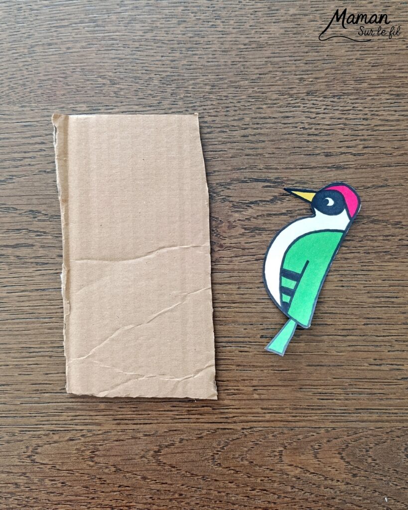 Fabriquer un pic vert accroché à son gobelet et présentation des nouveaux magazines Salamandre : activité créative, collage et manuelle et lecture enfants - Le pivert est dessiné grâce au tutoriel pas à pas de Salamandre - Collé sur du carton - Fil et gobelet pour le système du pivert qui tape le tronc d'arbre - Avis sur les nouveaux magazines Petite Salamandre sur les pics verts, Salamandre Junior sur les hamsters, et Revue Salamandre sur les loriots - Magazines parfaits pour 4 à 99 ans, enfants et adultes, amoureux de la nature et des animaux - Maternelle, Primaire et collège - 3 versions pour tout âge - Complet et qualitatif - Reportages, belles photos, BD, jeux, activités manuelles... - Bricolage et décoration DIY et facile - Bricolage Fait maison, décoration - Thème Animaux et nature, oiseaux, forêts - Bricolage sympa et facile - Code promo pour un numéro gratuit - Arts visuels Maternelle et cycle 2 - Maternelle et élémentaire - Créativité et lecture jeunesse - Cycle 1 ou 2 - tutoriel photos et vidéo - mslf