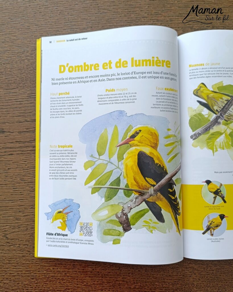 Fabriquer un pic vert accroché à son gobelet et présentation des nouveaux magazines Salamandre : activité créative, collage et manuelle et lecture enfants - Le pivert est dessiné grâce au tutoriel pas à pas de Salamandre - Collé sur du carton - Fil et gobelet pour le système du pivert qui tape le tronc d'arbre - Avis sur les nouveaux magazines Petite Salamandre sur les pics verts, Salamandre Junior sur les hamsters, et Revue Salamandre sur les loriots - Magazines parfaits pour 4 à 99 ans, enfants et adultes, amoureux de la nature et des animaux - Maternelle, Primaire et collège - 3 versions pour tout âge - Complet et qualitatif - Reportages, belles photos, BD, jeux, activités manuelles... - Bricolage et décoration DIY et facile - Bricolage Fait maison, décoration - Thème Animaux et nature, oiseaux, forêts - Bricolage sympa et facile - Code promo pour un numéro gratuit - Arts visuels Maternelle et cycle 2 - Maternelle et élémentaire - Créativité et lecture jeunesse - Cycle 1 ou 2 - tutoriel photos et vidéo - mslf