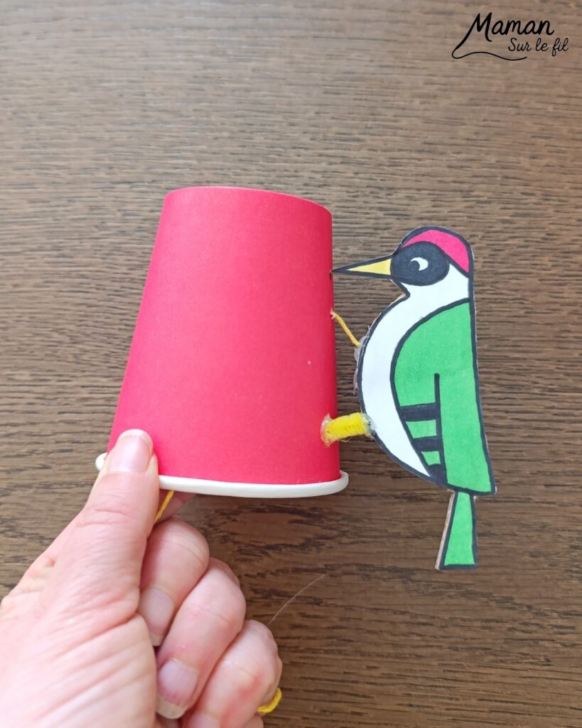 Fabriquer un pic vert accroché à son gobelet et présentation des nouveaux magazines Salamandre : activité créative, collage et manuelle et lecture enfants - Le pivert est dessiné grâce au tutoriel pas à pas de Salamandre - Collé sur du carton - Fil et gobelet pour le système du pivert qui tape le tronc d'arbre - Avis sur les nouveaux magazines Petite Salamandre sur les pics verts, Salamandre Junior sur les hamsters, et Revue Salamandre sur les loriots - Magazines parfaits pour 4 à 99 ans, enfants et adultes, amoureux de la nature et des animaux - Maternelle, Primaire et collège - 3 versions pour tout âge - Complet et qualitatif - Reportages, belles photos, BD, jeux, activités manuelles... - Bricolage et décoration DIY et facile - Bricolage Fait maison, décoration - Thème Animaux et nature, oiseaux, forêts - Bricolage sympa et facile - Code promo pour un numéro gratuit - Arts visuels Maternelle et cycle 2 - Maternelle et élémentaire - Créativité et lecture jeunesse - Cycle 1 ou 2 - tutoriel photos et vidéo - mslf