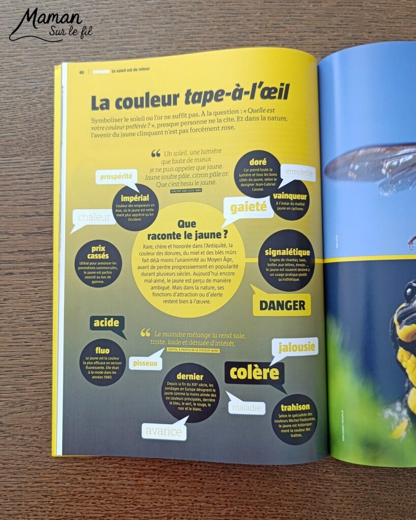 Fabriquer un pic vert accroché à son gobelet et présentation des nouveaux magazines Salamandre : activité créative, collage et manuelle et lecture enfants - Le pivert est dessiné grâce au tutoriel pas à pas de Salamandre - Collé sur du carton - Fil et gobelet pour le système du pivert qui tape le tronc d'arbre - Avis sur les nouveaux magazines Petite Salamandre sur les pics verts, Salamandre Junior sur les hamsters, et Revue Salamandre sur les loriots - Magazines parfaits pour 4 à 99 ans, enfants et adultes, amoureux de la nature et des animaux - Maternelle, Primaire et collège - 3 versions pour tout âge - Complet et qualitatif - Reportages, belles photos, BD, jeux, activités manuelles... - Bricolage et décoration DIY et facile - Bricolage Fait maison, décoration - Thème Animaux et nature, oiseaux, forêts - Bricolage sympa et facile - Code promo pour un numéro gratuit - Arts visuels Maternelle et cycle 2 - Maternelle et élémentaire - Créativité et lecture jeunesse - Cycle 1 ou 2 - tutoriel photos et vidéo - mslf