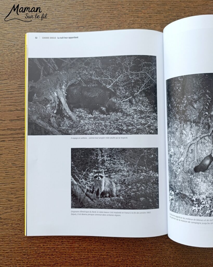 Fabriquer un pic vert accroché à son gobelet et présentation des nouveaux magazines Salamandre : activité créative, collage et manuelle et lecture enfants - Le pivert est dessiné grâce au tutoriel pas à pas de Salamandre - Collé sur du carton - Fil et gobelet pour le système du pivert qui tape le tronc d'arbre - Avis sur les nouveaux magazines Petite Salamandre sur les pics verts, Salamandre Junior sur les hamsters, et Revue Salamandre sur les loriots - Magazines parfaits pour 4 à 99 ans, enfants et adultes, amoureux de la nature et des animaux - Maternelle, Primaire et collège - 3 versions pour tout âge - Complet et qualitatif - Reportages, belles photos, BD, jeux, activités manuelles... - Bricolage et décoration DIY et facile - Bricolage Fait maison, décoration - Thème Animaux et nature, oiseaux, forêts - Bricolage sympa et facile - Code promo pour un numéro gratuit - Arts visuels Maternelle et cycle 2 - Maternelle et élémentaire - Créativité et lecture jeunesse - Cycle 1 ou 2 - tutoriel photos et vidéo - mslf