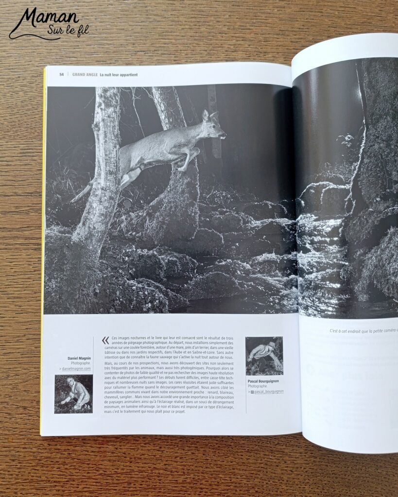 Fabriquer un pic vert accroché à son gobelet et présentation des nouveaux magazines Salamandre : activité créative, collage et manuelle et lecture enfants - Le pivert est dessiné grâce au tutoriel pas à pas de Salamandre - Collé sur du carton - Fil et gobelet pour le système du pivert qui tape le tronc d'arbre - Avis sur les nouveaux magazines Petite Salamandre sur les pics verts, Salamandre Junior sur les hamsters, et Revue Salamandre sur les loriots - Magazines parfaits pour 4 à 99 ans, enfants et adultes, amoureux de la nature et des animaux - Maternelle, Primaire et collège - 3 versions pour tout âge - Complet et qualitatif - Reportages, belles photos, BD, jeux, activités manuelles... - Bricolage et décoration DIY et facile - Bricolage Fait maison, décoration - Thème Animaux et nature, oiseaux, forêts - Bricolage sympa et facile - Code promo pour un numéro gratuit - Arts visuels Maternelle et cycle 2 - Maternelle et élémentaire - Créativité et lecture jeunesse - Cycle 1 ou 2 - tutoriel photos et vidéo - mslf